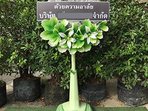 พัดลมดอกไม้วัดผาสุขมณีจักร