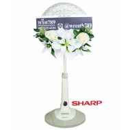 พัดลม 16นิ้ว 2022c