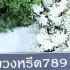 ธารา 14g