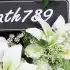 อันนา 302