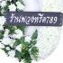 ธารา 913