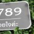 ธารา 924