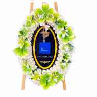 สายหมอก 9705 สายหมอก 9705