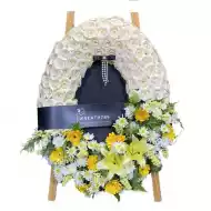 สายหมอก 9743 สายหมอก 9743