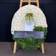 สายหมอก 9802g