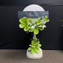 พัดลม 16นิ้ว 1322