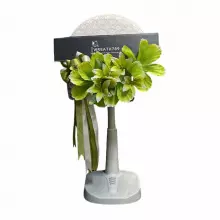 พัดลม 16นิ้ว 1323g