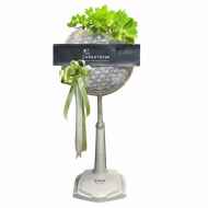 พัดลม 16นิ้ว 6521g