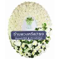 ดอกไม้จันทน์ ดอกพุด สีครีม 9801g