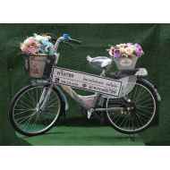 จักรยาน 80q