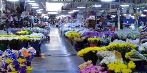 แนะนำแหล่งขายดอกไม้สดใกล้กรุง ถูกและดีมีอยู่จริง!