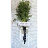 ต้นไม้ (หมากเหลือง) แบบที่711