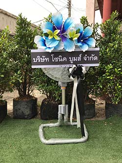 ภาพตัวอย่างก่อนจัดส่งถึงวัด