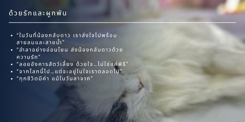 พิธีลอยอังคารสัตว์เลี้ยงคืออะไร?