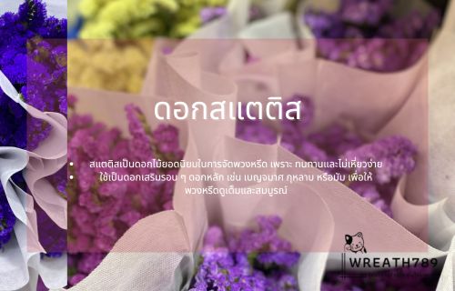 ดอกสแตติส