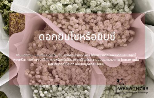 ดอกยิบโซ