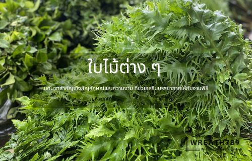 ใบไม้ต่าง ๆ