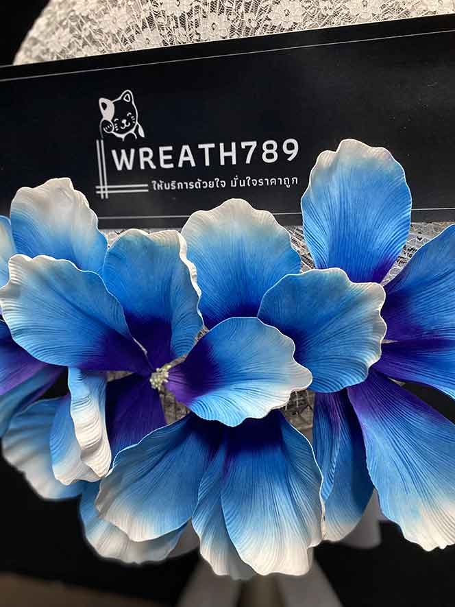 พัดลม 16นิ้ว 645s ถ่ายซูมดอกไม้ชัดๆ