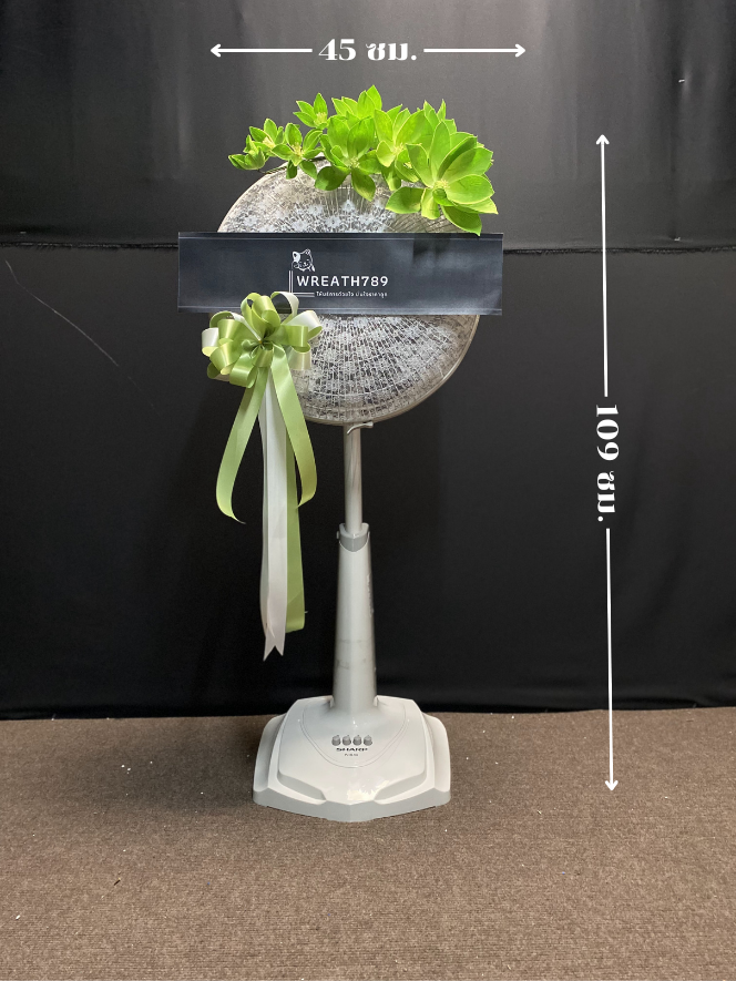 พัดลม 16นิ้ว 6521g แสดงขนาดกว้างและความสูง