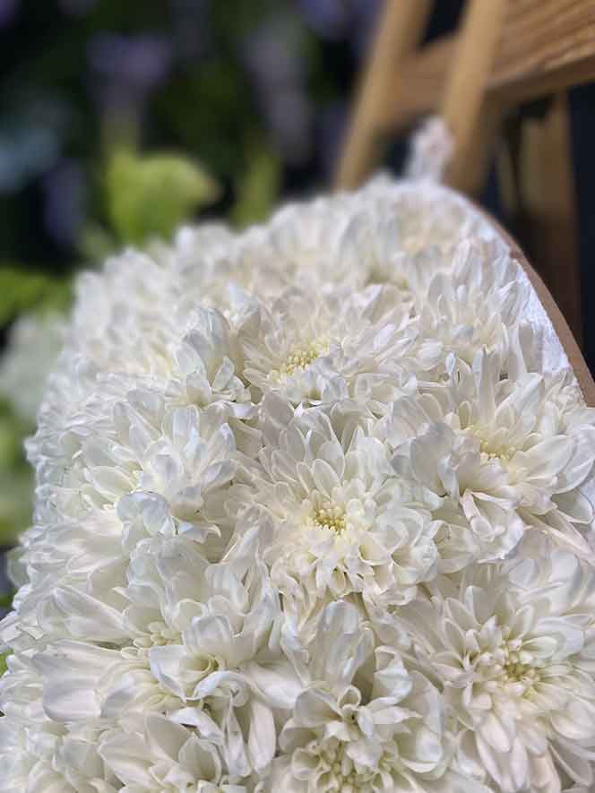 ธารา 902 พวงหรีดดอกไม้สด หรีด789