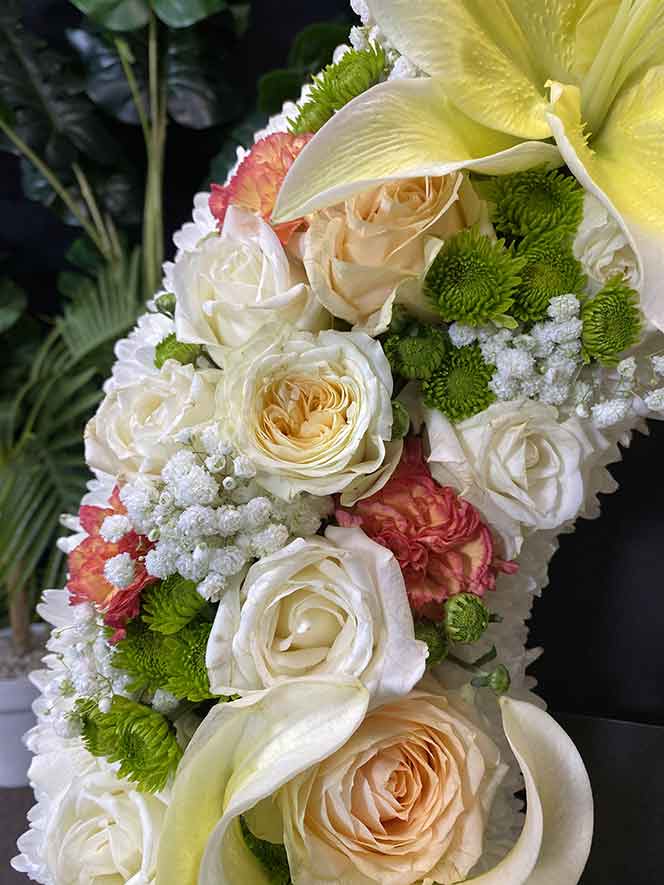 ธารา 152 ภาพซูมดอกไม้สดชัด มีกุหลาบ ยิบโซ