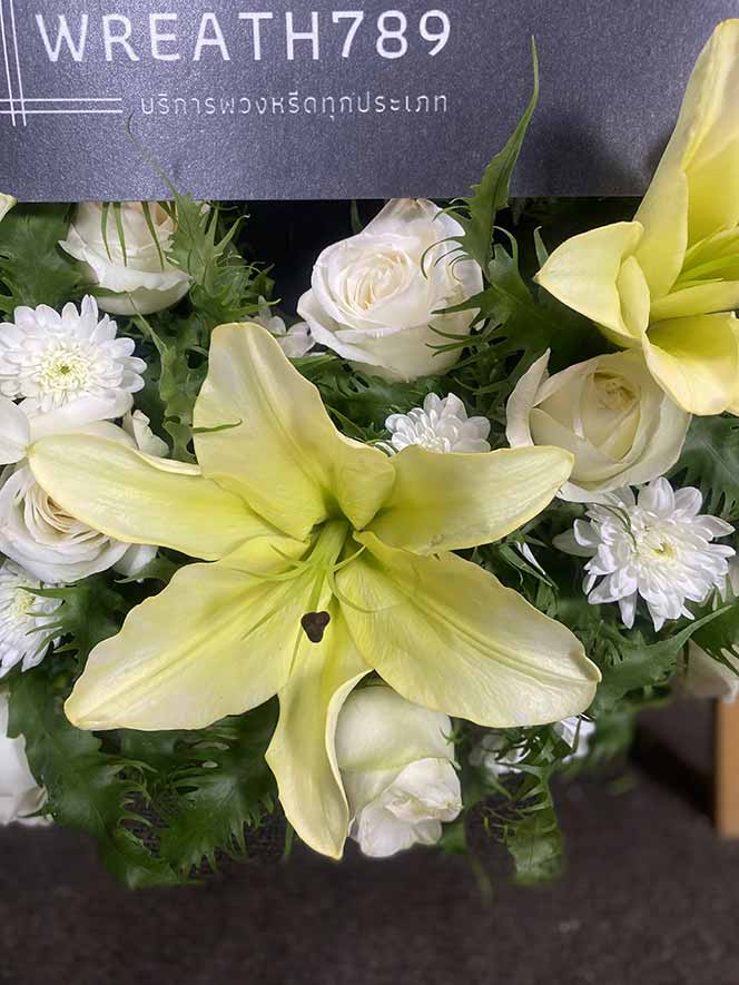 ธารา 9121 ภาพเน้นความสดดอกลิลลี่