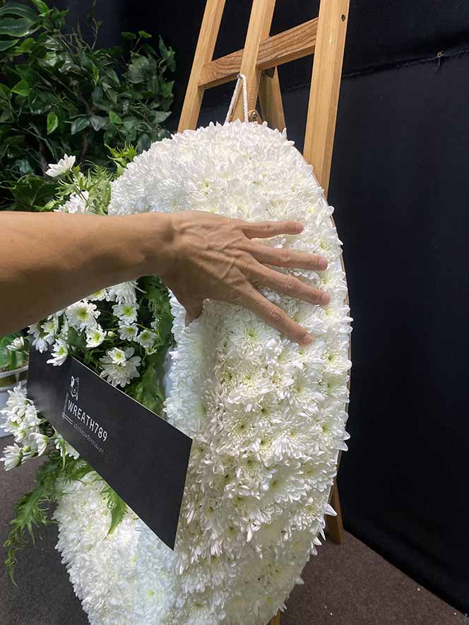 ธารา 913 ภาพเทียบความหนาดอกไม้กับมือ