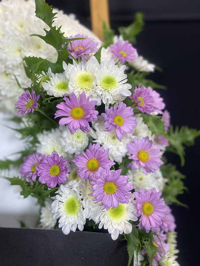 ธารา 9414 ภาพซูมดอกไม้ชัดๆ