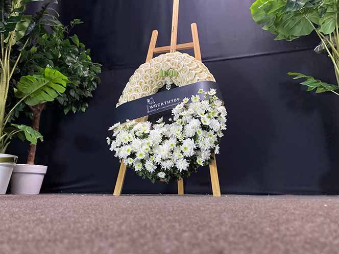 สายหมอก 9801g