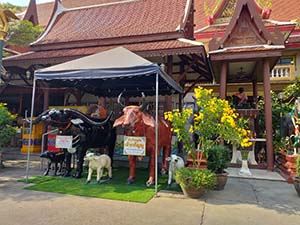 บริเวณทำบุณวัดเทพลีลา