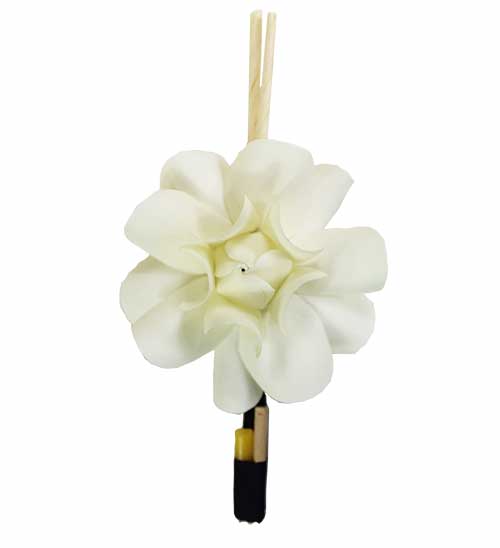 ดอกไม้จันทน์ สีครีม