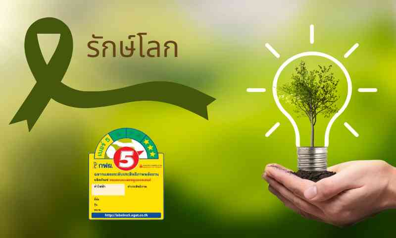 พัดลมประหยัดไฟเบอร์ 5 นำมาทำพวงหรีดก็ปัง แถมยังช่วยรักษ์โลกอีกด้วย !